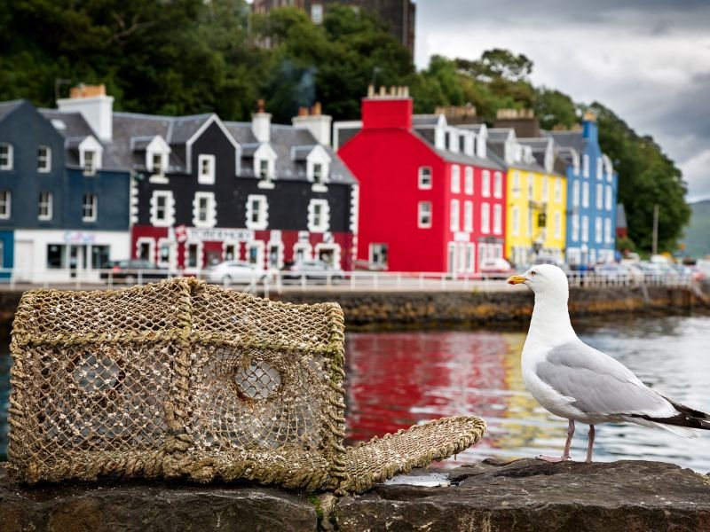 Tobermory Tobermory