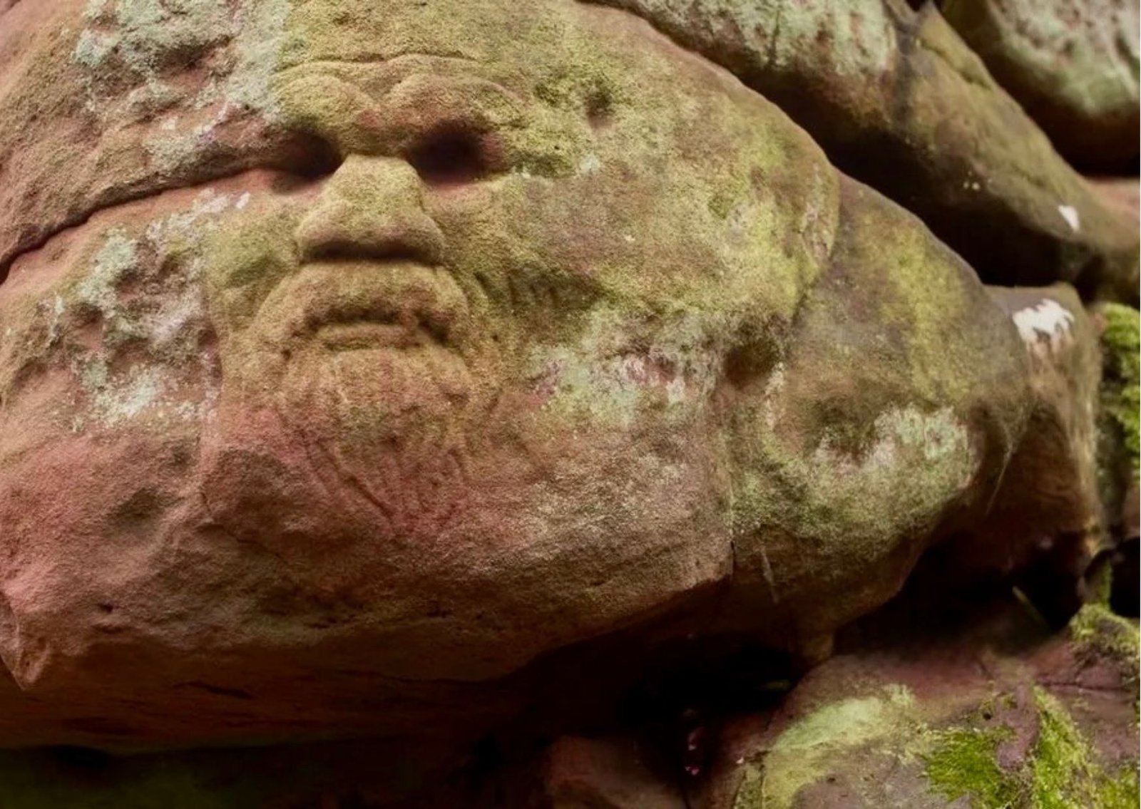 Dunino Den on our Mystical Fife Witchcraft, Ancient Stones & Coastal Delights Private Day Tour from Edinburgh Dunino Den on our Mystical Fife Witchcraft, Ancient Stones & Coastal Delights Private Day Tour from Edinburgh