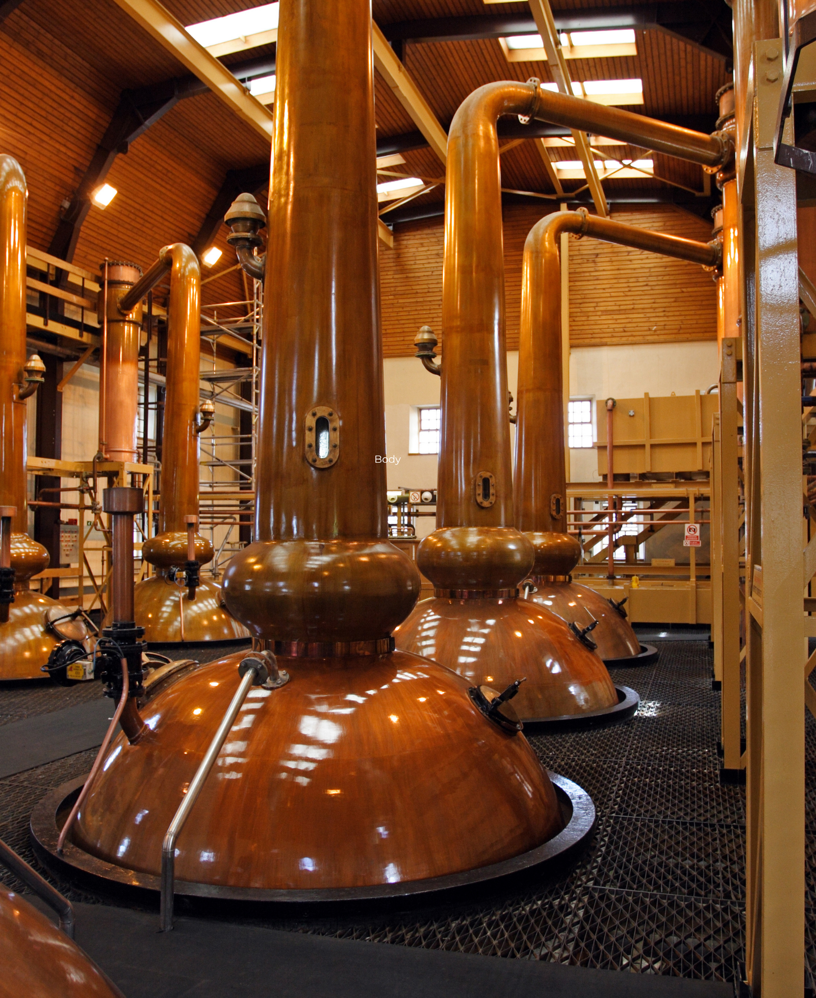 Copper Whisky Stills Rows of polished copper pot stills inside a Scotch whisky distillery