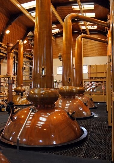Rows of polished copper pot stills inside a Scotch whisky distillery