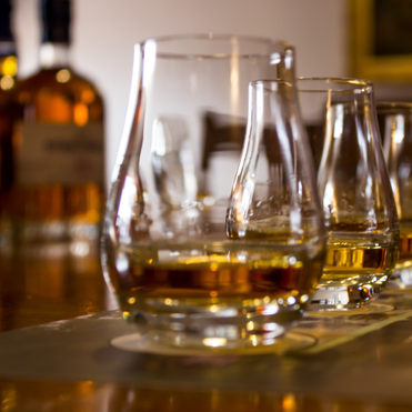Whisky Tasting Glasses in a Row Line of Glencairn glasses filled with single malt whisky